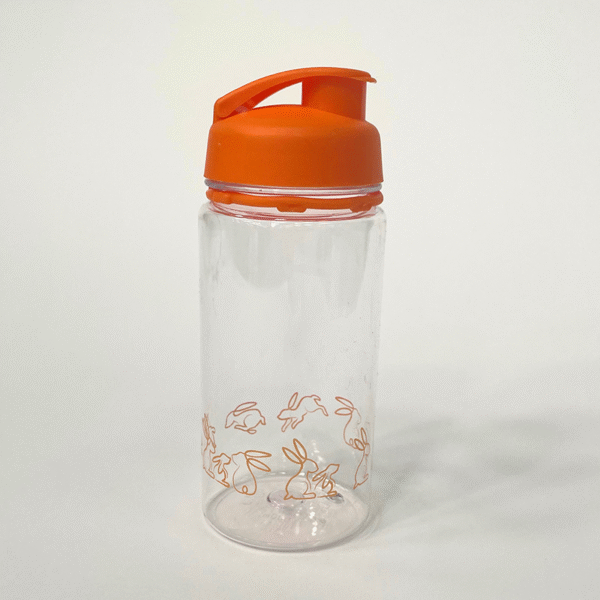 Hop To It Water Bottle Orange