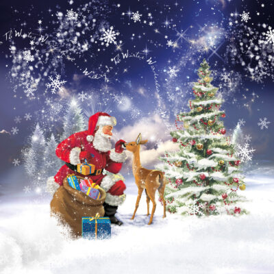 Santa's Friend Christmas Cards