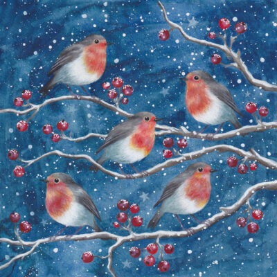 Robins & Berries Christmas Cards