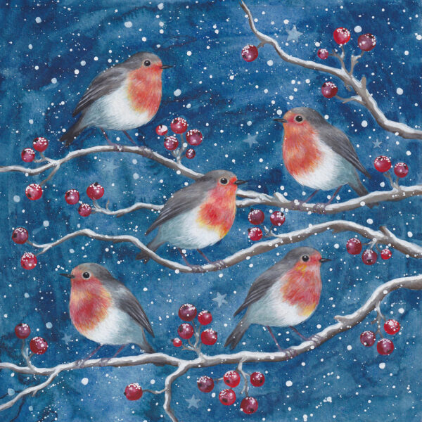 Robins & Berries Christmas Cards