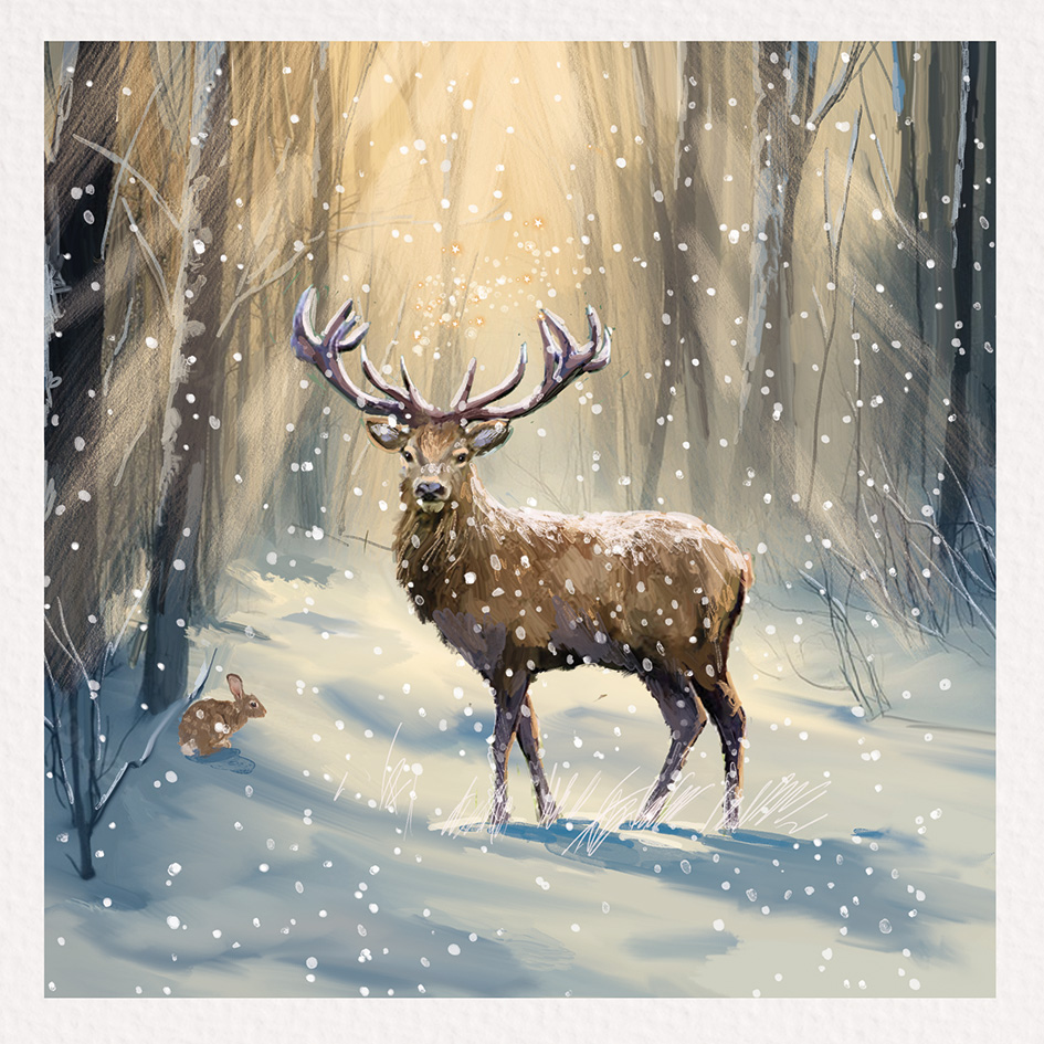 Christmas 2026 - Standard Cards - As Dawn Breaks