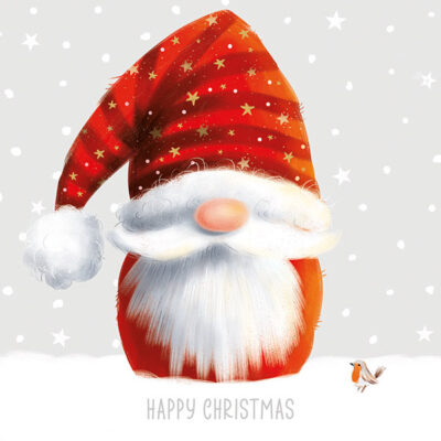 Christmas 2026 - Standard Cards - Santa Gonk