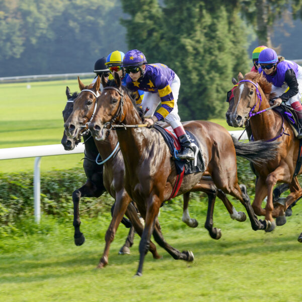 Horse racing